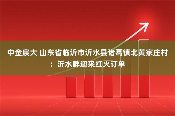 中金宸大 山东省临沂市沂水县诸葛镇北黄家庄村：沂水畔迎来红火订单