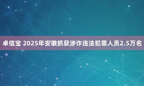 卓信宝 2025年安徽抓获涉诈违法犯罪人员2.5万名